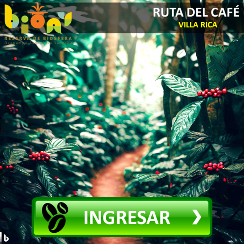 IngresarCAFE